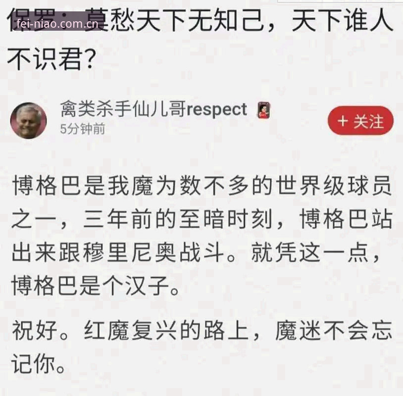 资深用户分享：从曼联引援动向看小鸟体育平台如何用技术拆解中场博弈