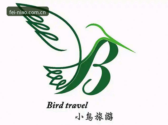 小鸟体育注册流程评测 小鸟体育平台注册全流程实战评测:从零开始5分钟搞定